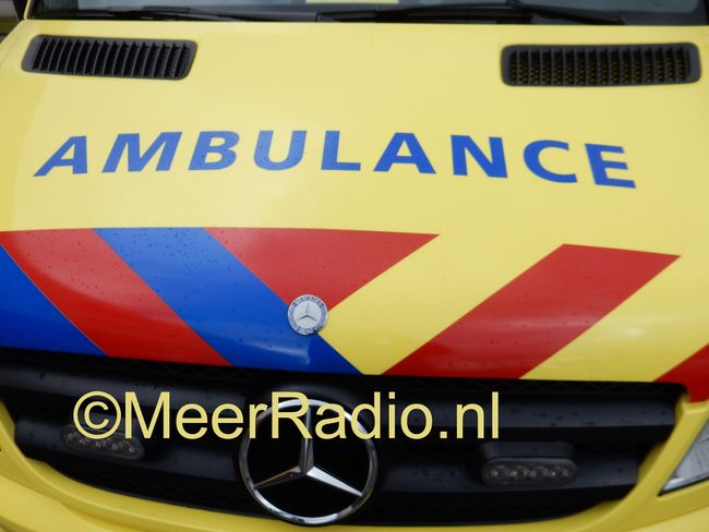 Scooterrijder rijdt hondje aan