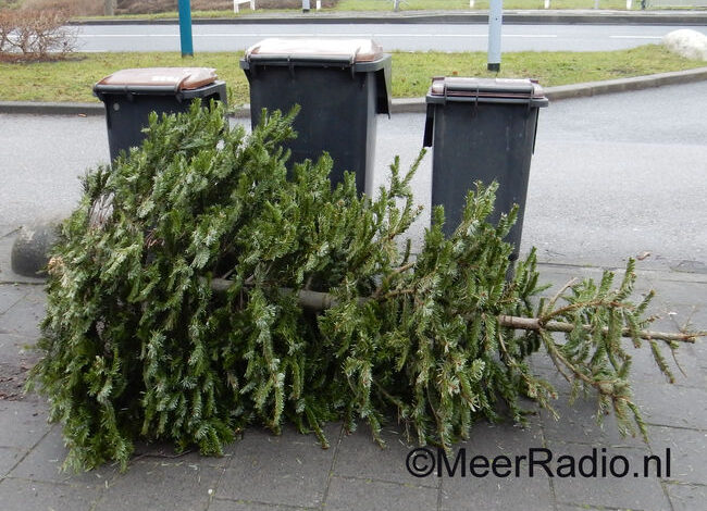 Inzamelacties voor kerstbomen