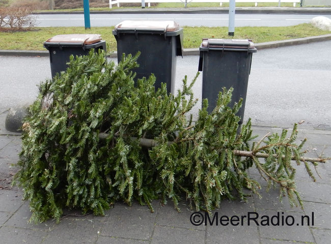 Inzamelacties voor kerstbomen