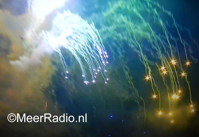 Hondencentrum vol bange honden voor vuurwerk