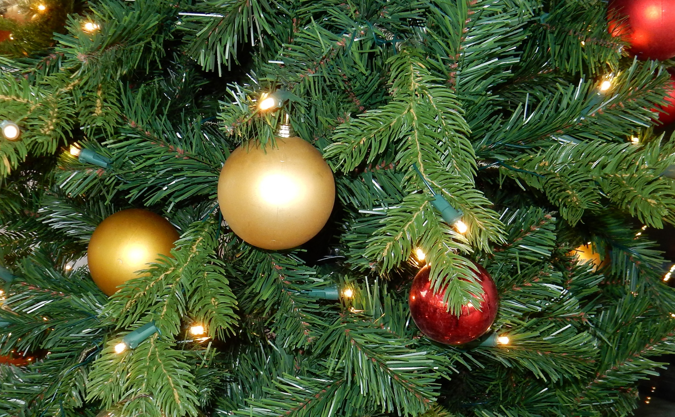 Kerstwandeling terug in Getsewoud