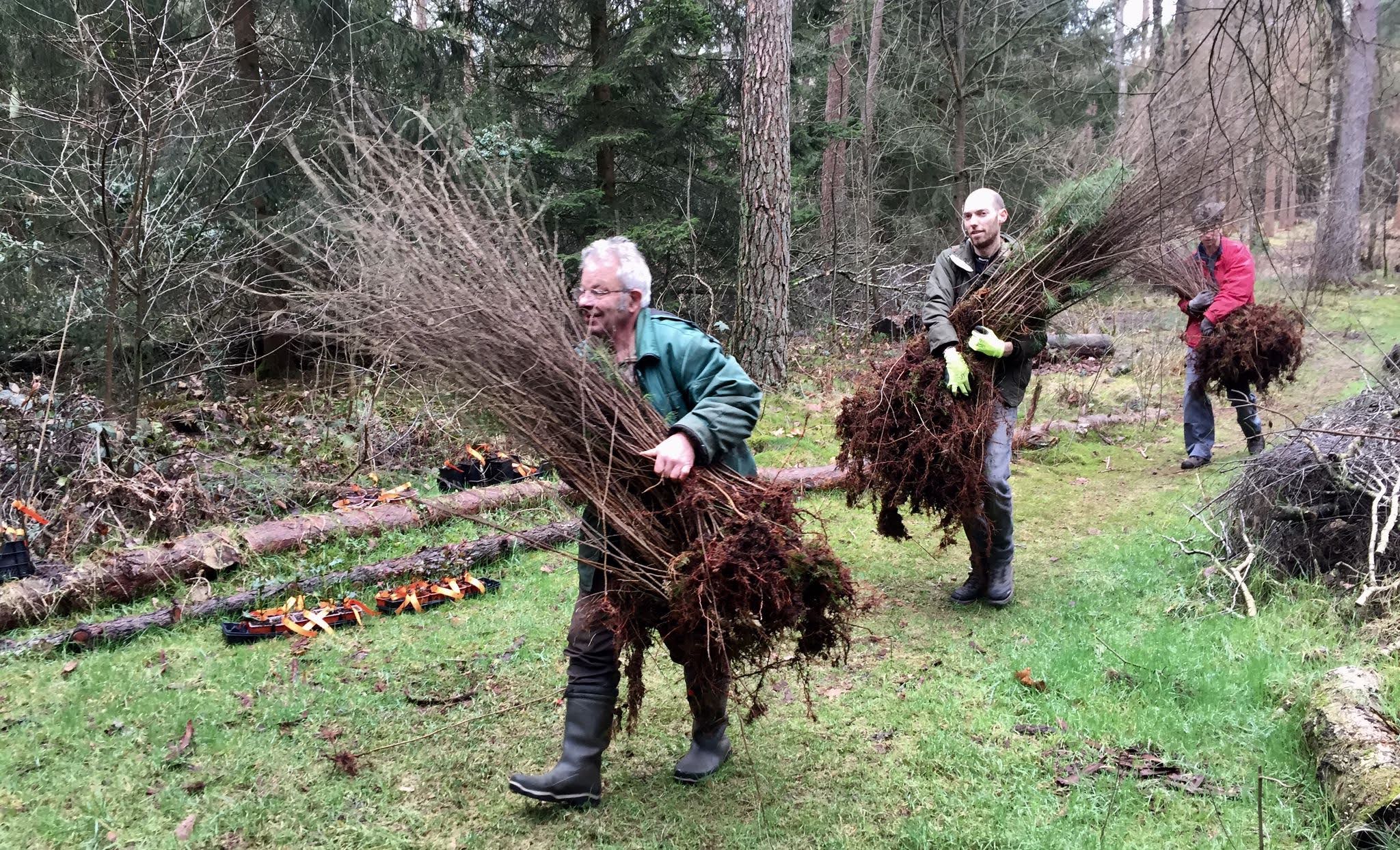 Gratis bomen voor iedereen